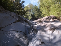 Torrente_Quarantore - 20110911 045.jpg